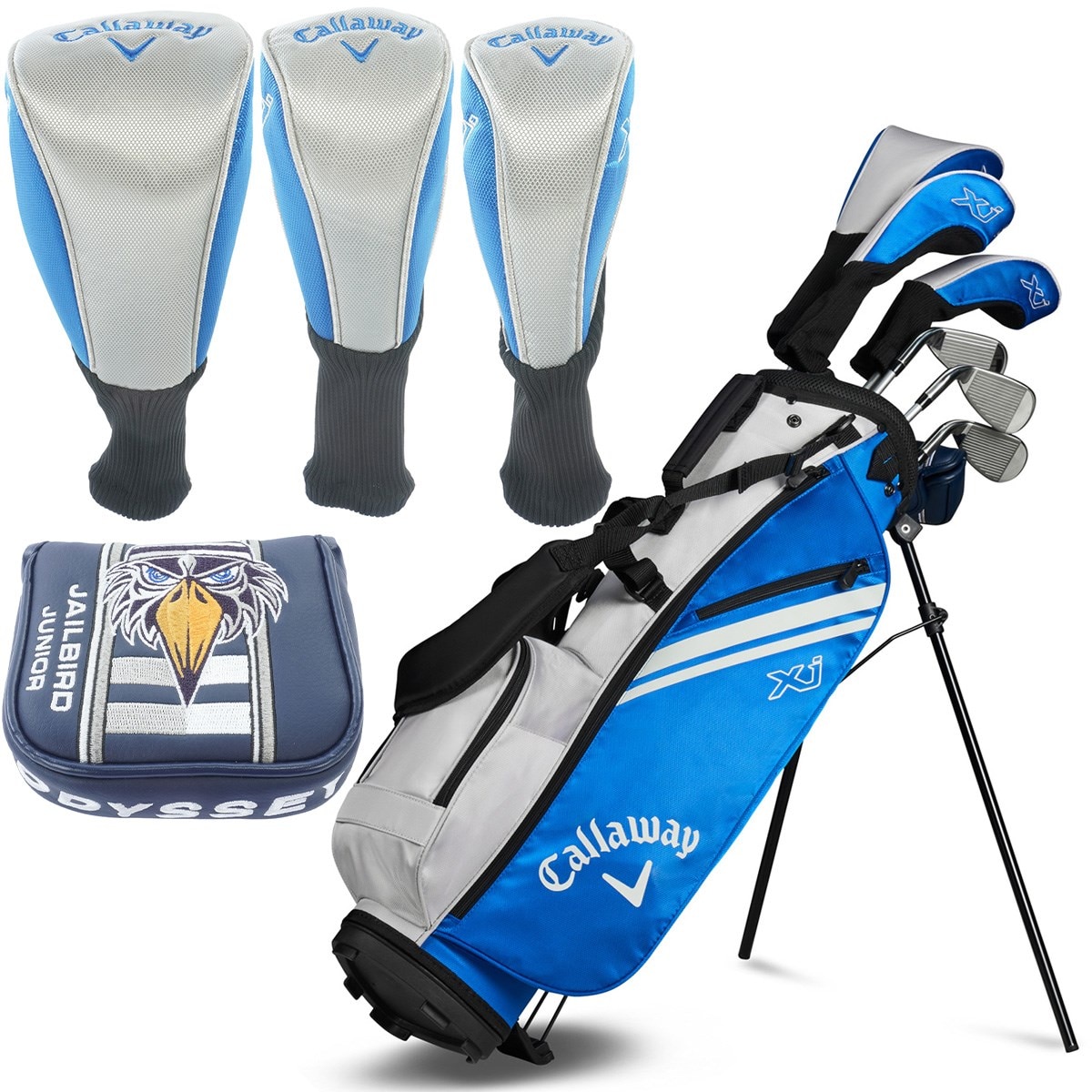 ss0755  中古　メンズ　ゴルフクラブフルセット　キャディバッグ付　12本セット 　キャロウェイ　Callaway　ファウンダース　 Founders Club 　ドライバー　ウッド　アイアン　ウェッジ　ゴルフセット　クラブセット Callaway（キャロウェイ） クラブセット WARBIRD ウォーバード 10本