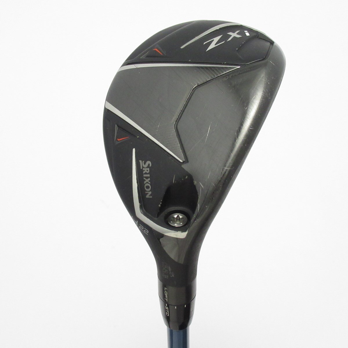 コア様リクエスト トックリラン 50株 トックリラン（斑入り） 6号24-01 の通販 | 園芸ネット