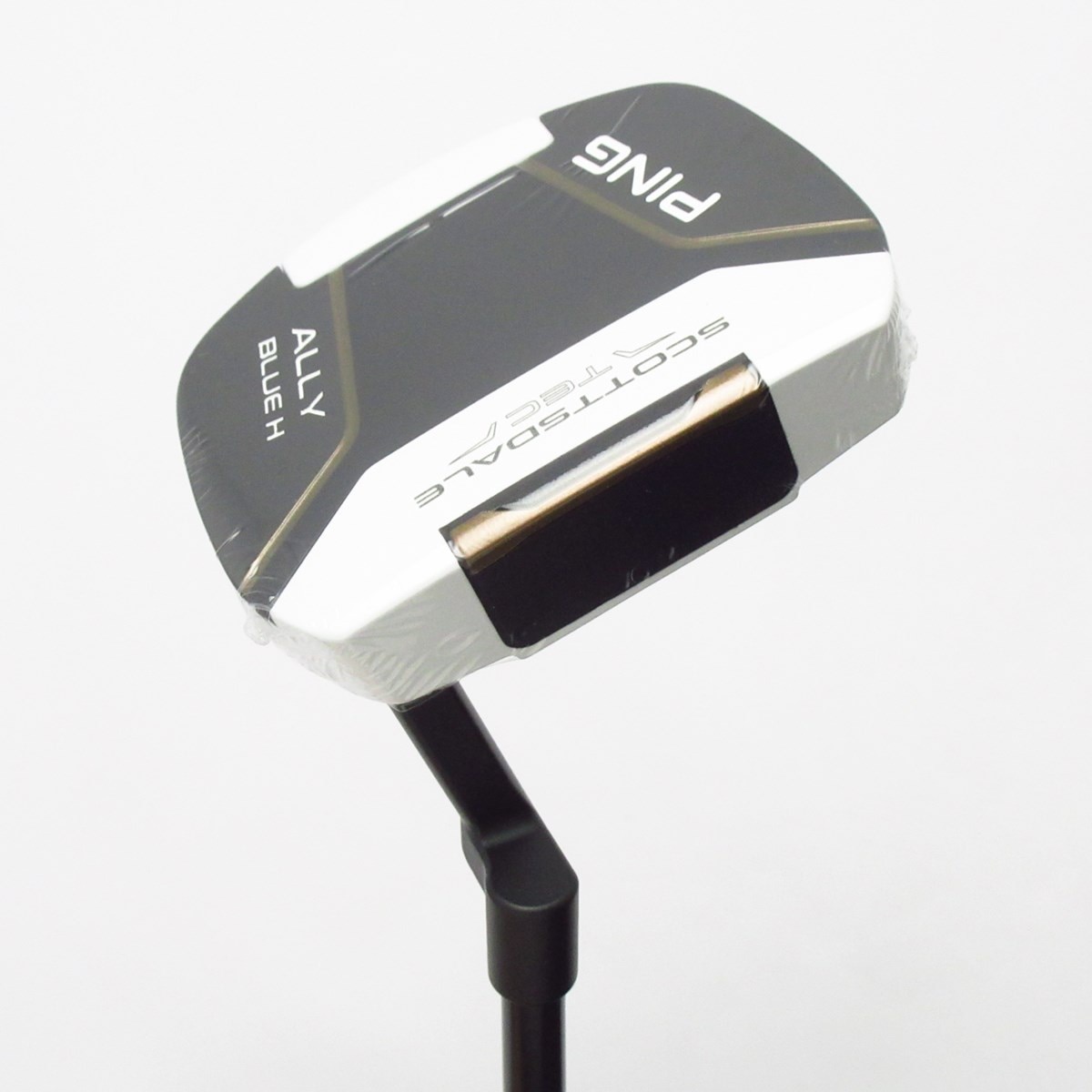 Used] Scottsdale TEC ALLY BLUE H Putter Steel Shaft Outside