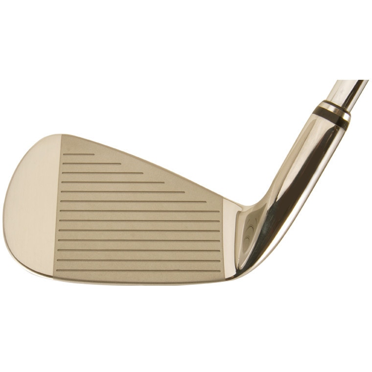 SRIXON GIE MIYAZAKI シャフト　アイアンセット 楽天市場】スリクソン GiE アイアン（ゴルフ｜スポーツ・アウトドア