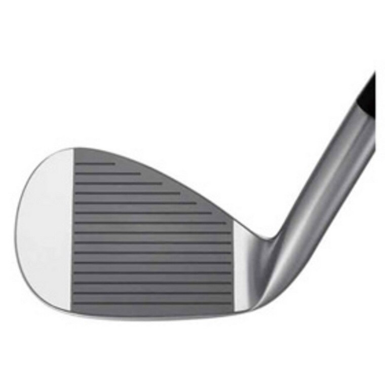 Ray-VX- ウェッジ ダイナミックゴールド(ウェッジ（単品）)|romaro