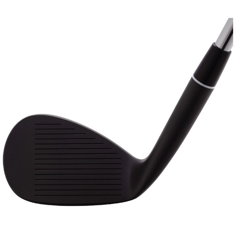 RM-12 ウェッジ ノーメッキ黒染め仕上げ ダイナミックゴールド