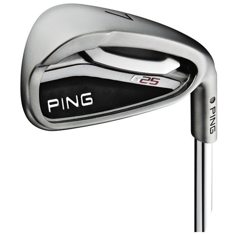 PING G25アイアン 5〜S 7本セット DG S200 - クラブ