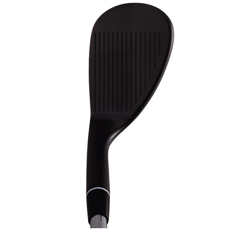 RM-12 ウェッジ ノーメッキ黒染め仕上げ 2本セット ダイナミック