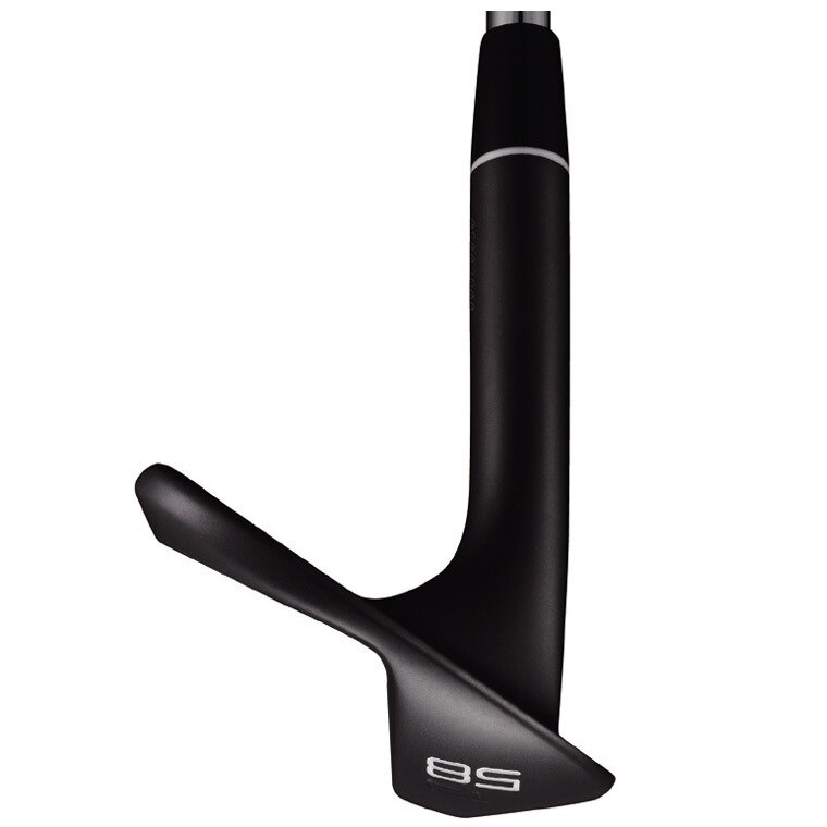 RM-12 ウェッジ ノーメッキ黒染め仕上げ 2本セット ダイナミック