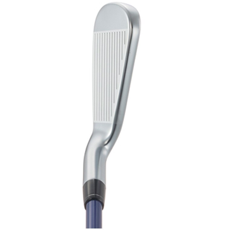 APEX アイアン(6本セット) NS PRO 950GH(アイアン（セット）)|APEX