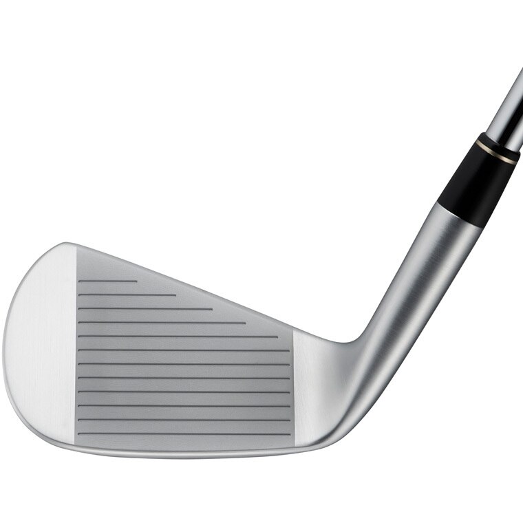 Ray H フォージドアイアン(6本セット) ダイナミックゴールド(アイアン