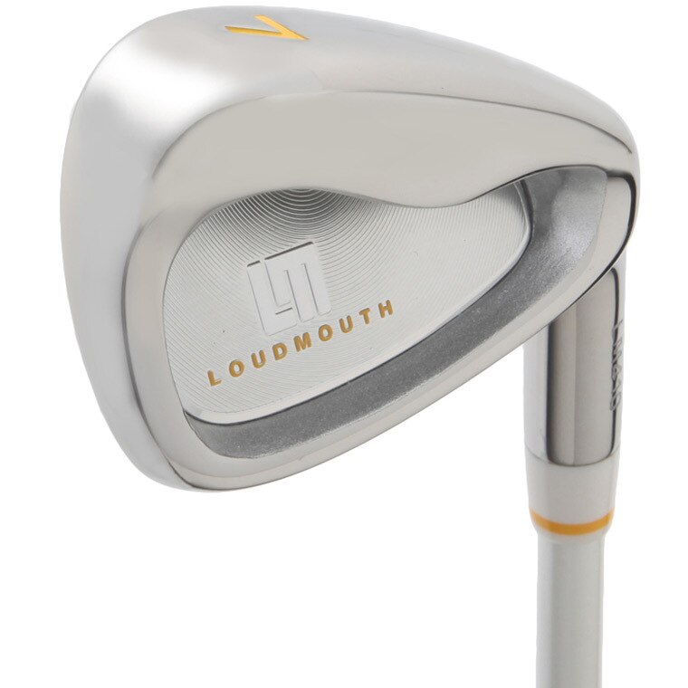クラブセット(8本セット) LM410 レディス(クラブセット（単品