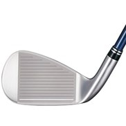 ゼクシオ ナイン アイアン(8本セット) N.S.PRO 890GH DST for XXIO 