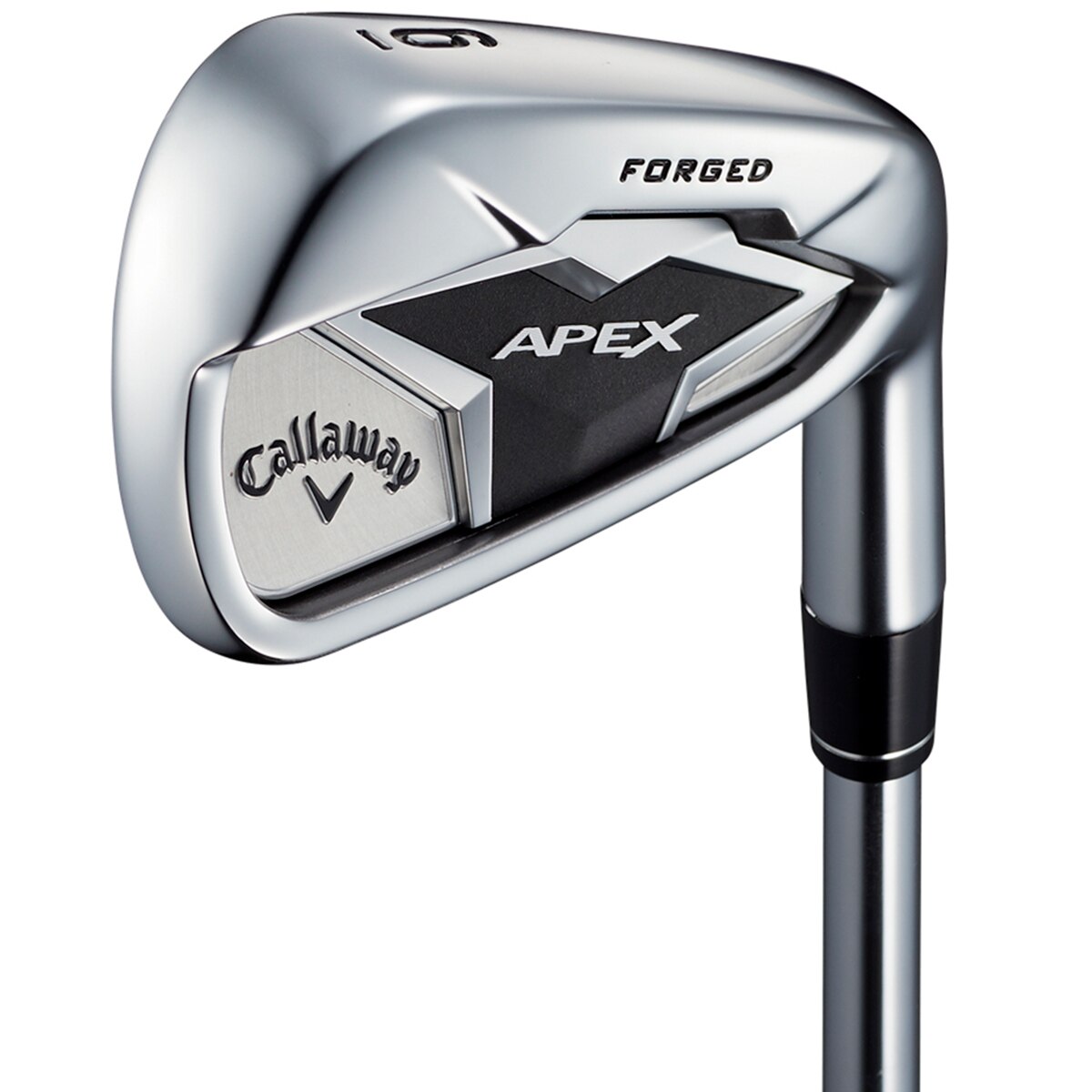 APEX 19 アイアン(6本セット) N.S.PRO MODUS3 TOUR 105(アイアン
