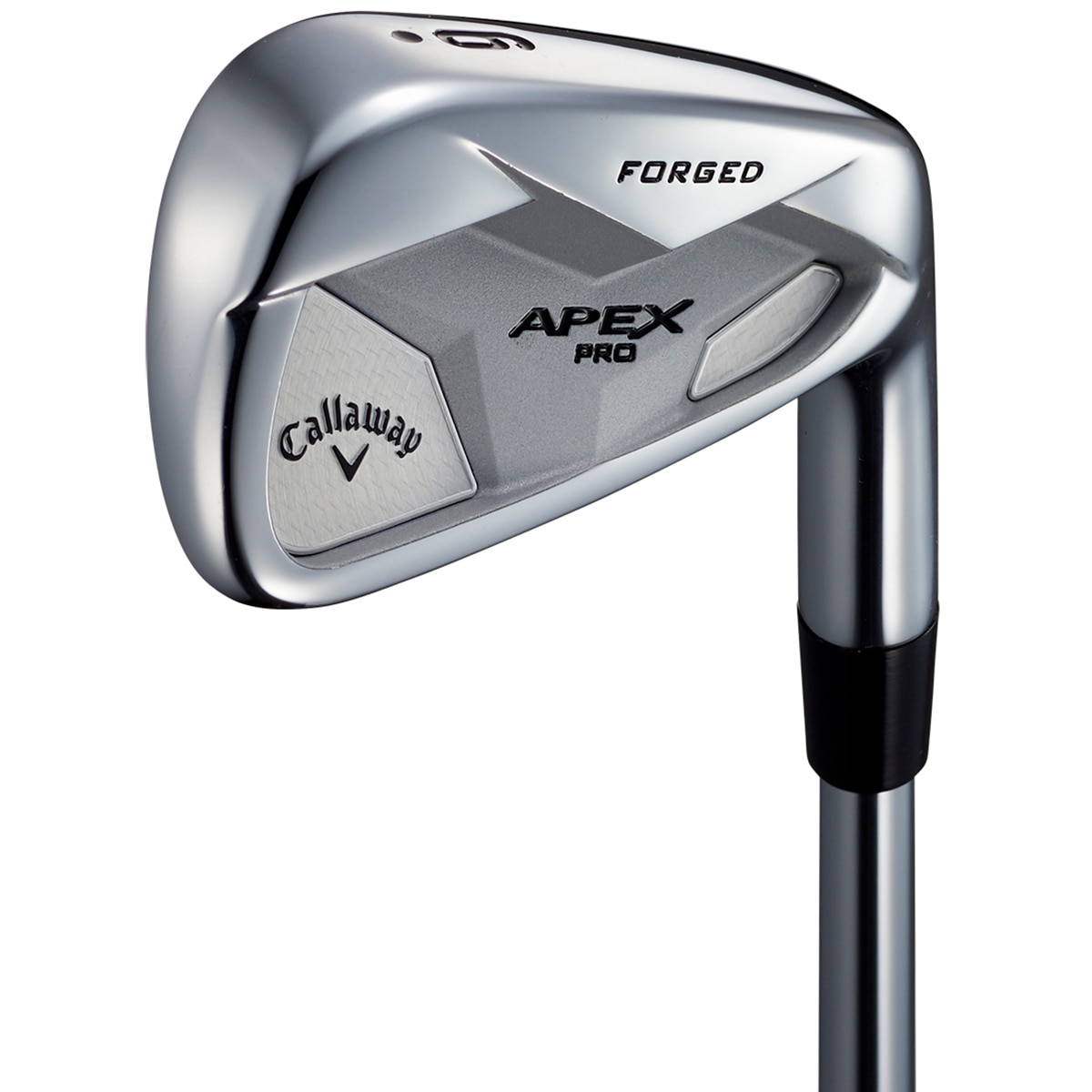 APEX PRO 19 アイアン(6本セット) N.S.PRO 950GH(アイアン（セット