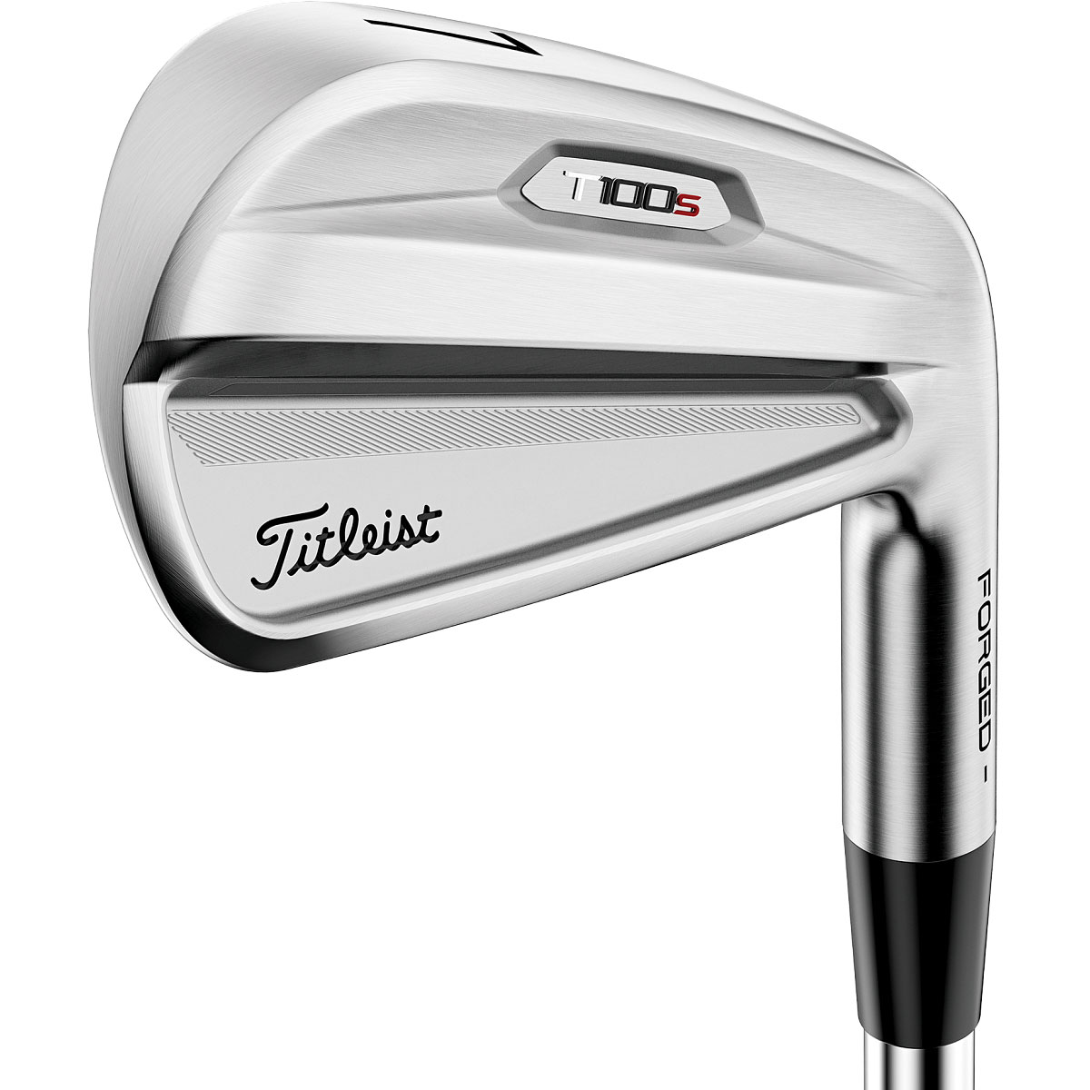 Cランク （フレックスS） タイトリスト Titleist T100S(2021) 6S NS