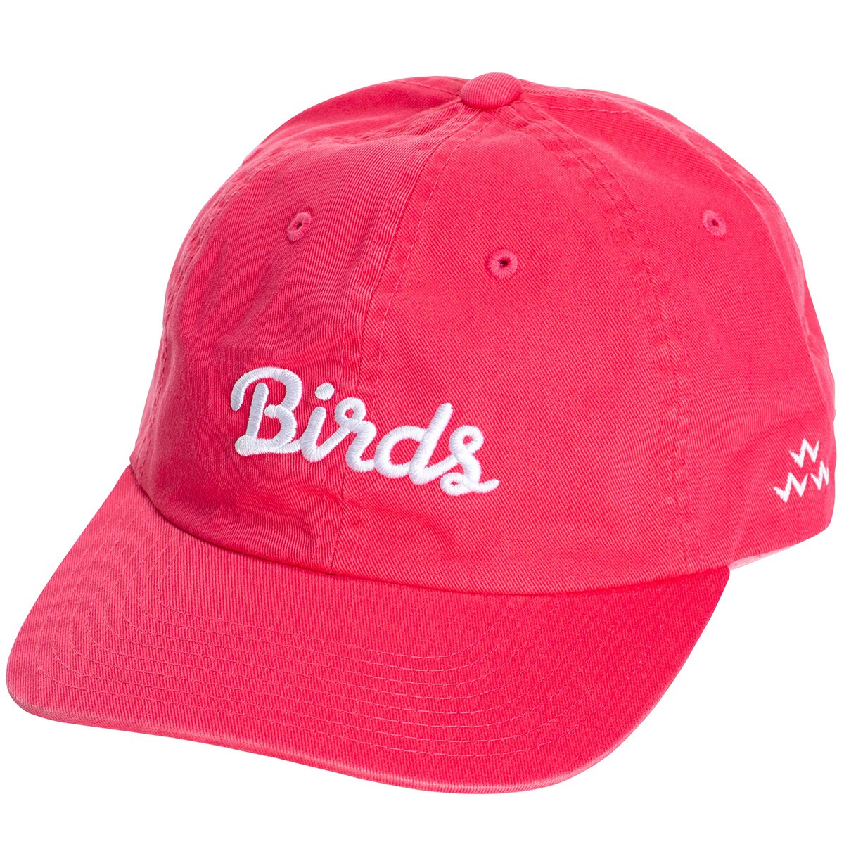 バーズオブコンドル BIRDSキャップ TEMC1F04（グリーン