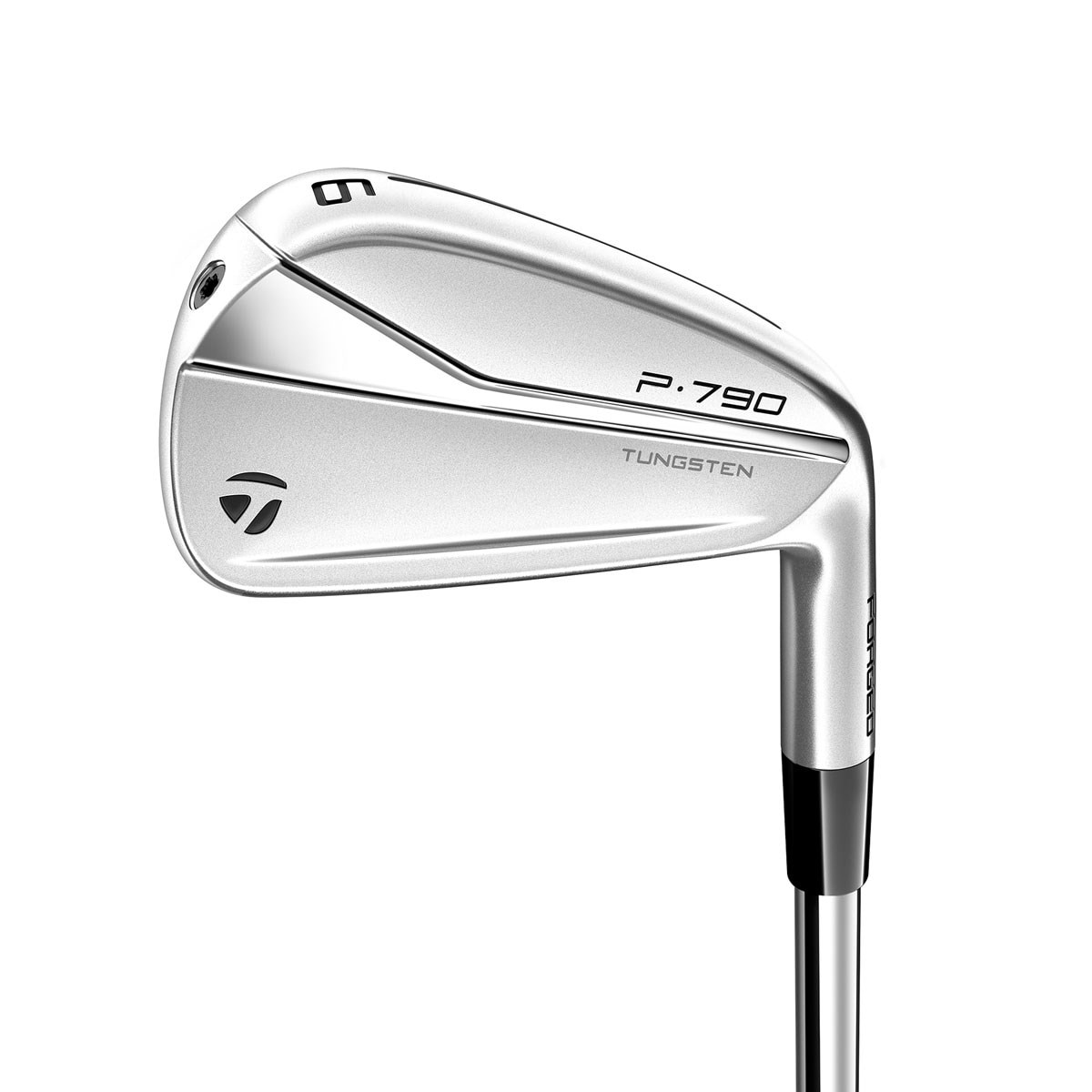 TaylorMade P790 2021年モデル レザレクションカバー付き-