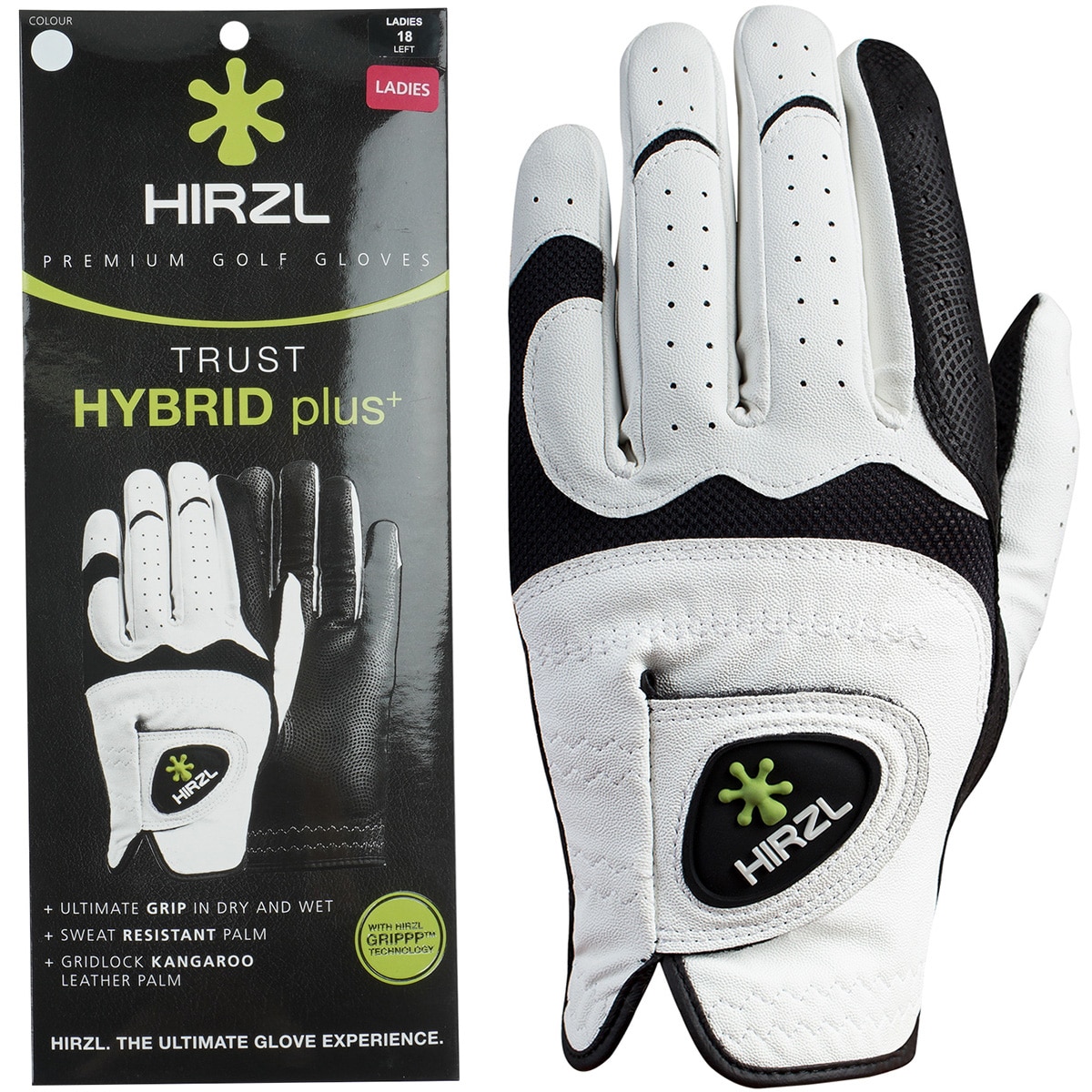 ★　新品未使用　ハーツェル　HIRZL Lサイズ　高級グローブ　 ☆ 新品未使用 ハーツェル HIRZL Lサイズ 高級グローブ