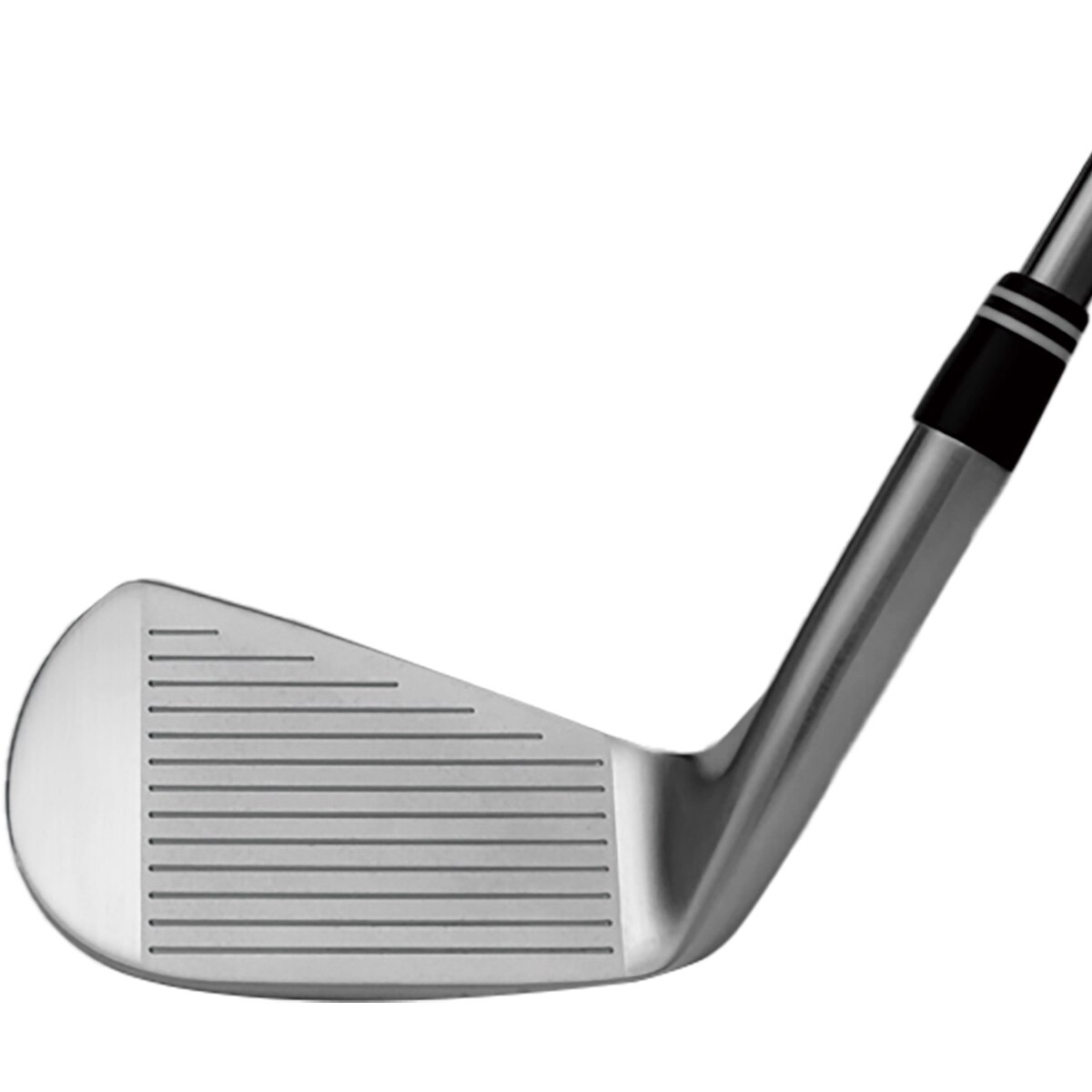 セール・アウトレット】Professional P-Forged アイアン(6本セット