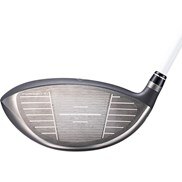 パラダイム MAX FAST ドライバー ELDIO 40 for Callaway レディス 