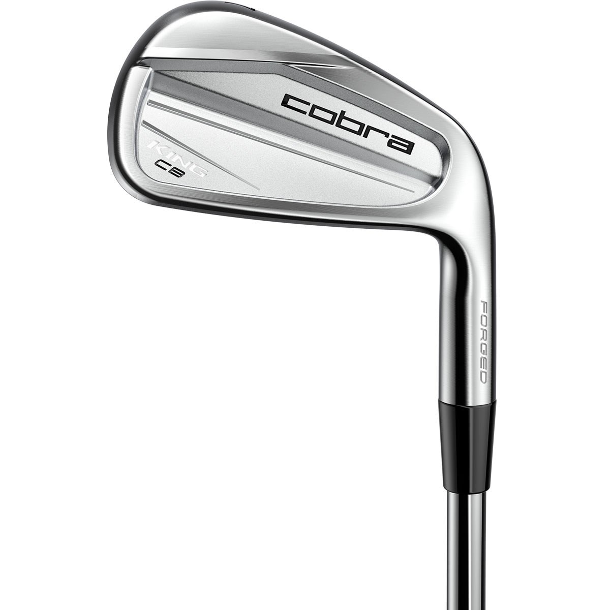 名器 Cobra KING PRO FORGED MB DG S200 コブラ