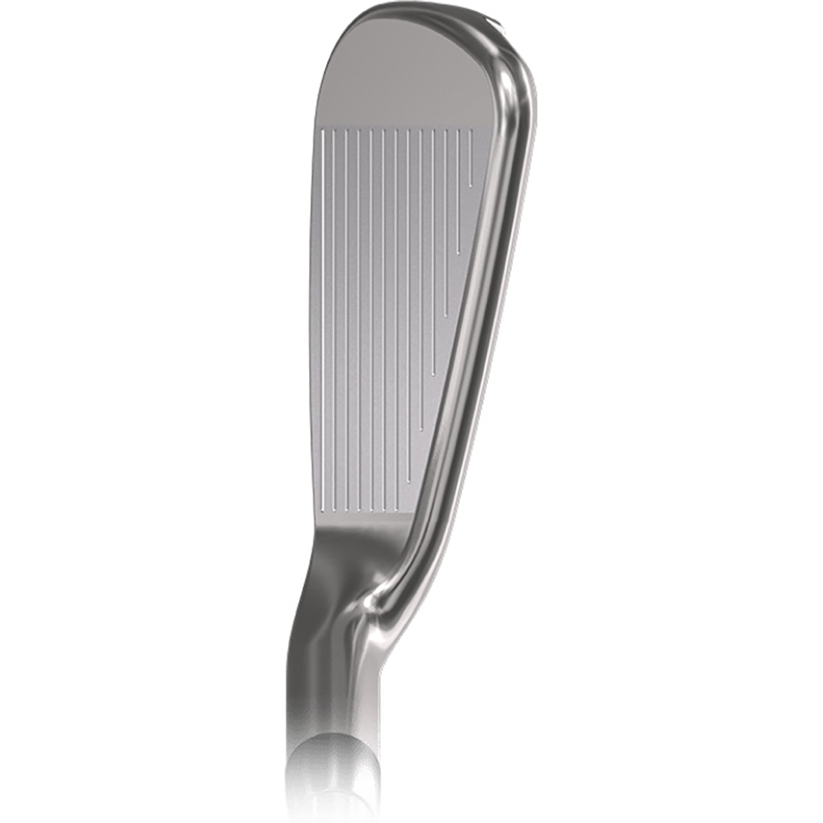 PXG 0311 P GEN5 アイアン(5本セット) N.S.PRO MODUS3 TOUR 115