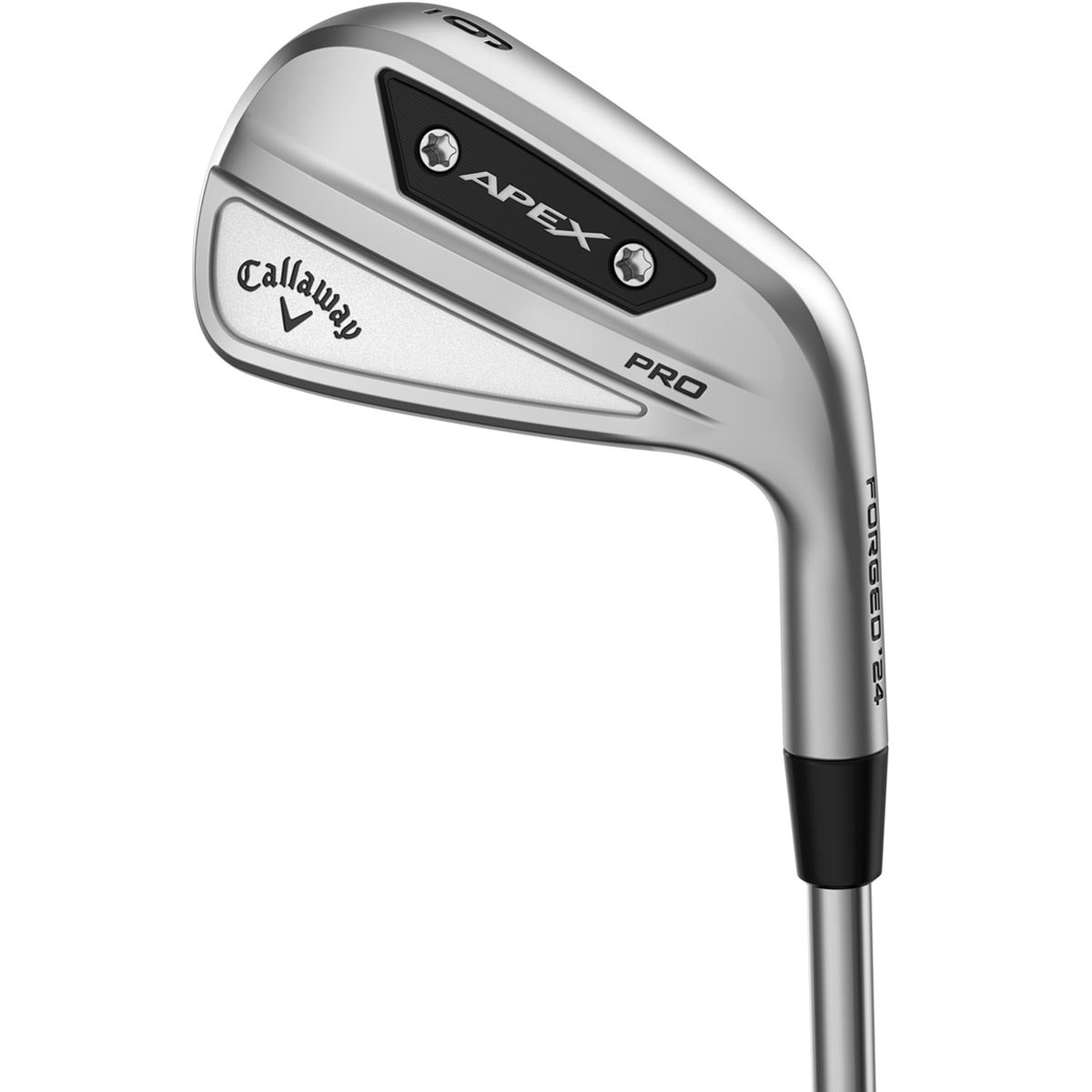 APEX PRO 24 アイアン(6本セット) N.S.PRO MODUS3 TOUR 105(アイアン 