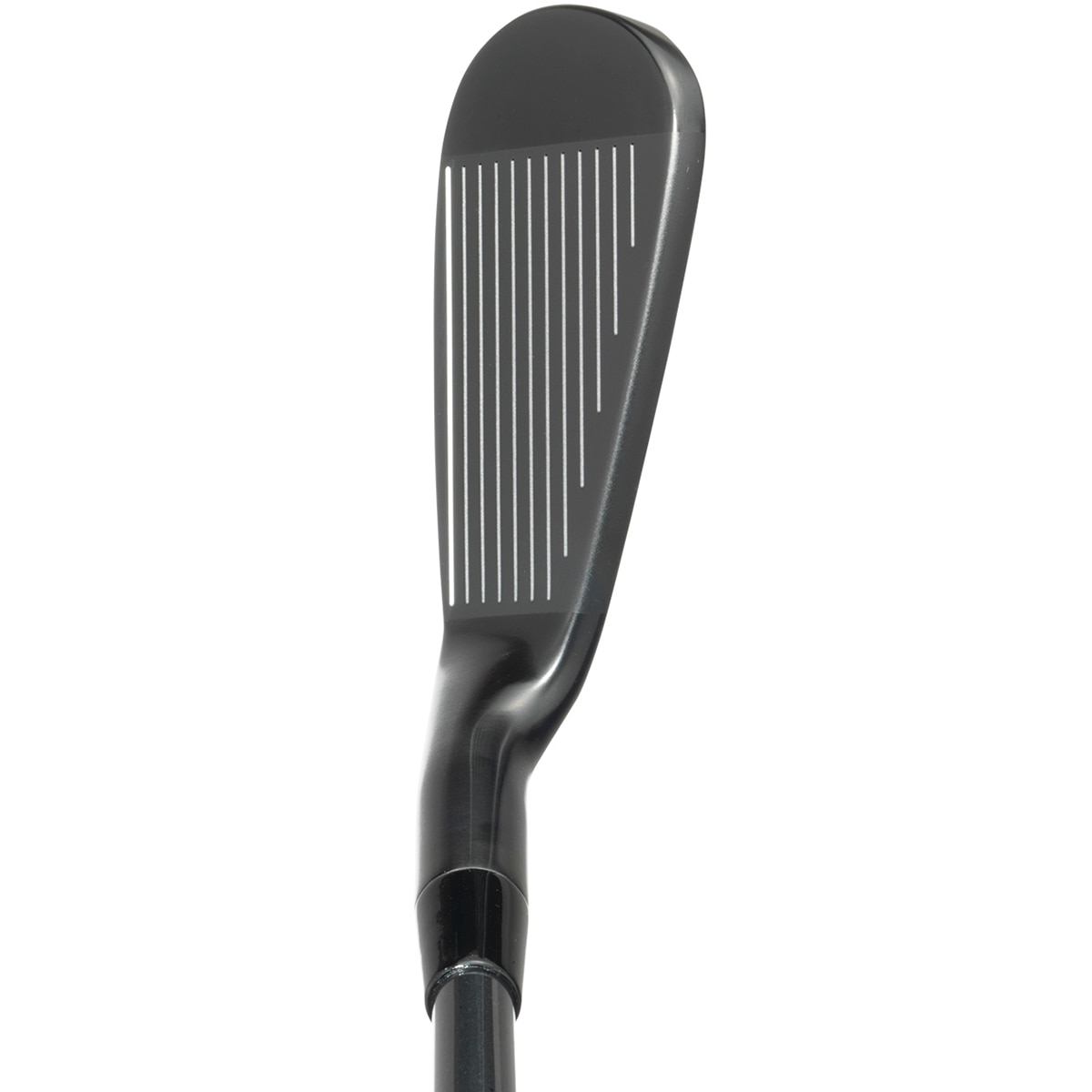 eBishop アイアン(6本セット) ブラック仕上げ RAUNE i90(アイアン