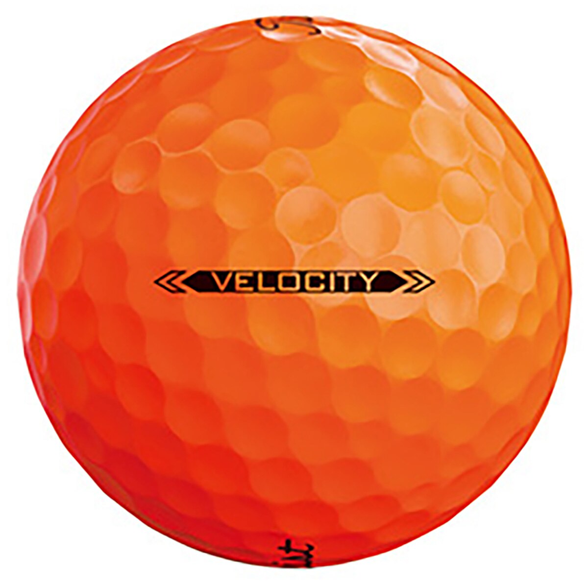 VELOCITY ボール(ボール（新品）)|VELOCITY(タイトリスト