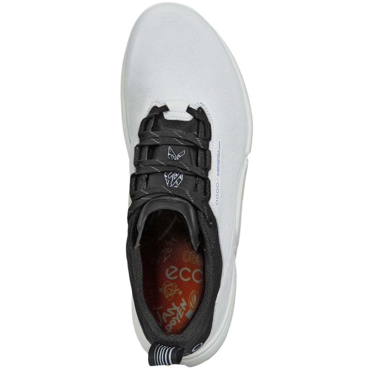 BIOM H4 Erik Van Rooyen Edition シューズ(【男性】シューズ