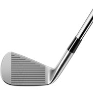 P7CB アイアン(単品) ダイナミックゴールド MID 115(アイアン（単品 
