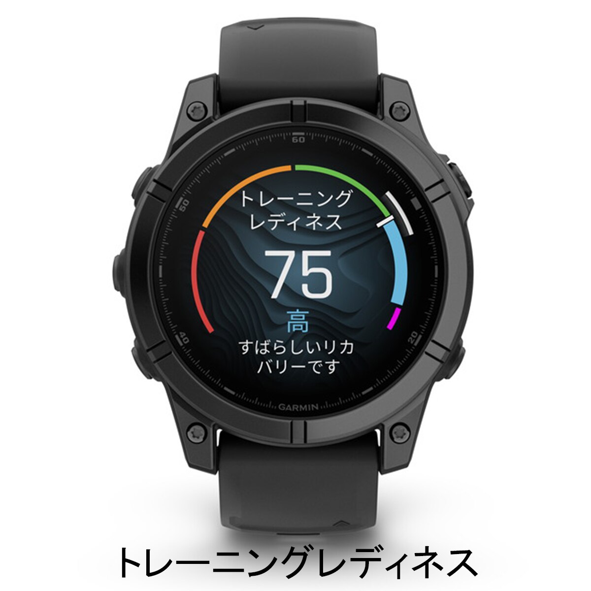 fenix E 47mm Slate Gray(距離測定器)|GARMIN(ガーミン)の通販 - GDO