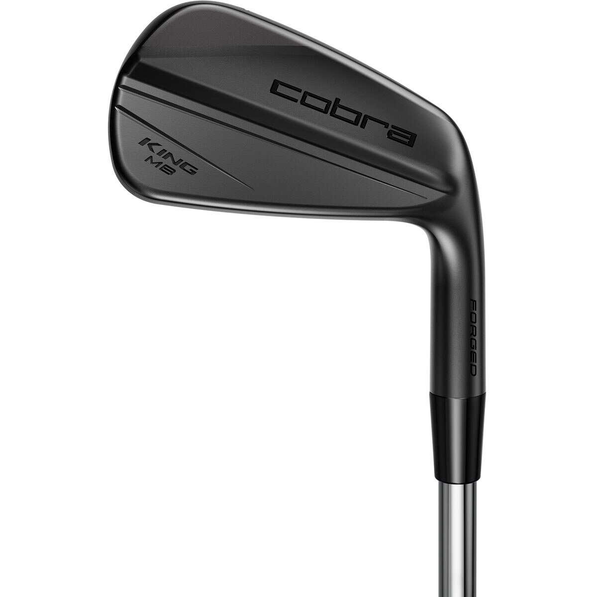 コブラ キングCB MBアイアン、ウェッジ（10本）DG EX s200 KING CB/MB