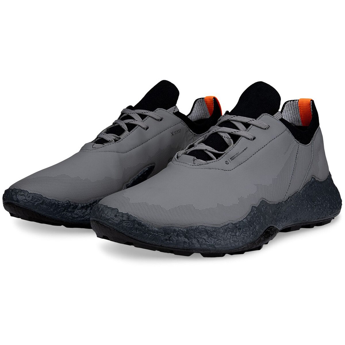 BIOM H5 シューズ(【男性】シューズ)|エコー(ecco) EG138014の通販
