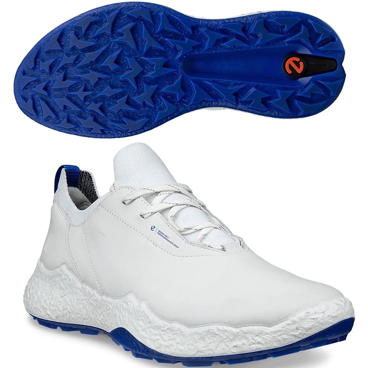BIOM H5 シューズ(【男性】シューズ)|エコー(ecco) EG138014の通販