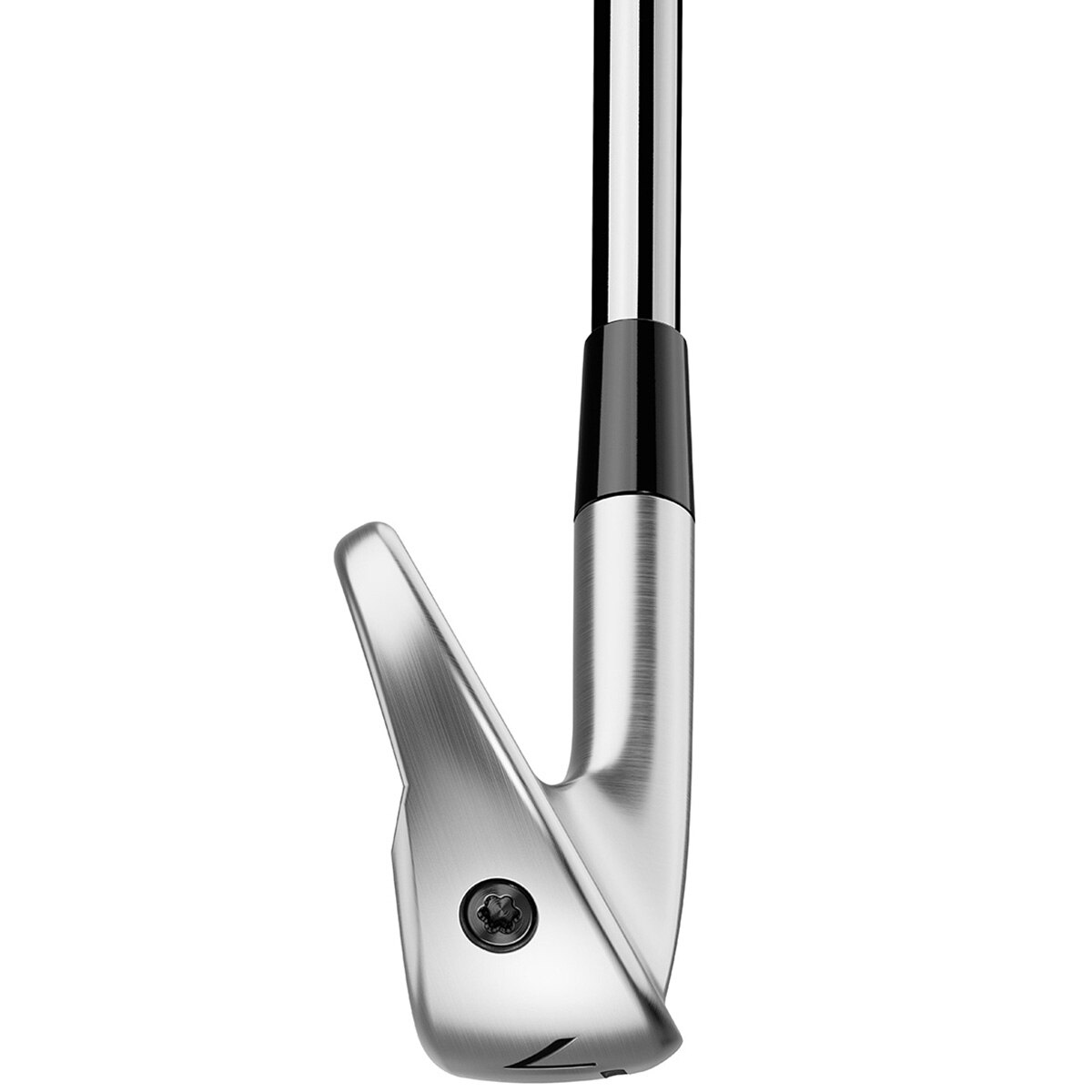 P790 アイアン(単品) N.S.PRO MODUS3 TOUR 105(アイアン（単品）)|P790