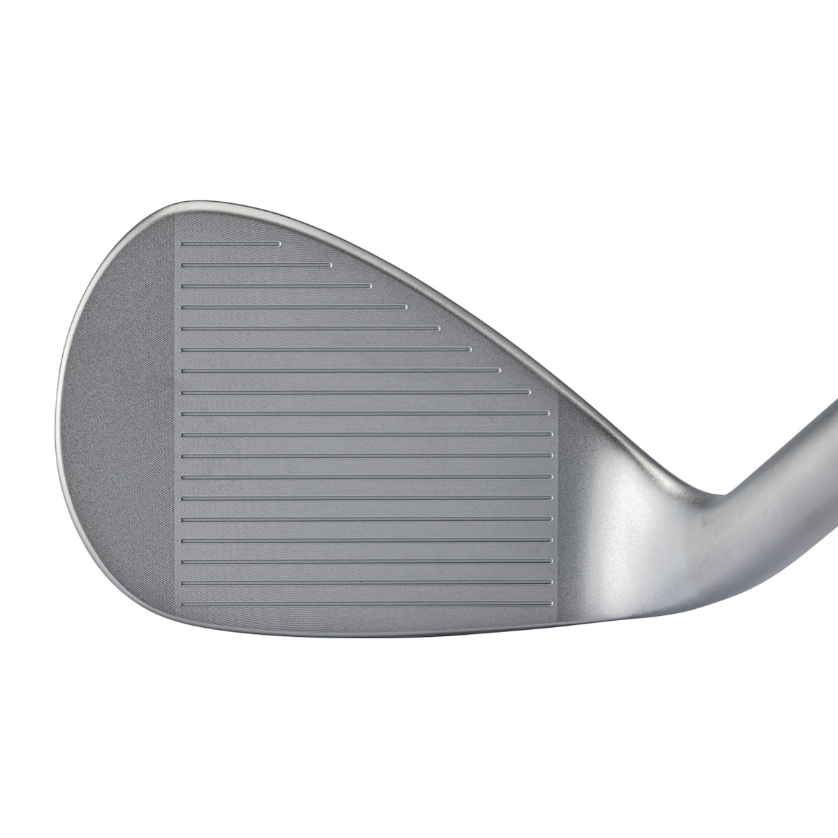 ドルフィンウェッジ DW-125G セミグースネック N.S.PRO MODUS3 TOUR120