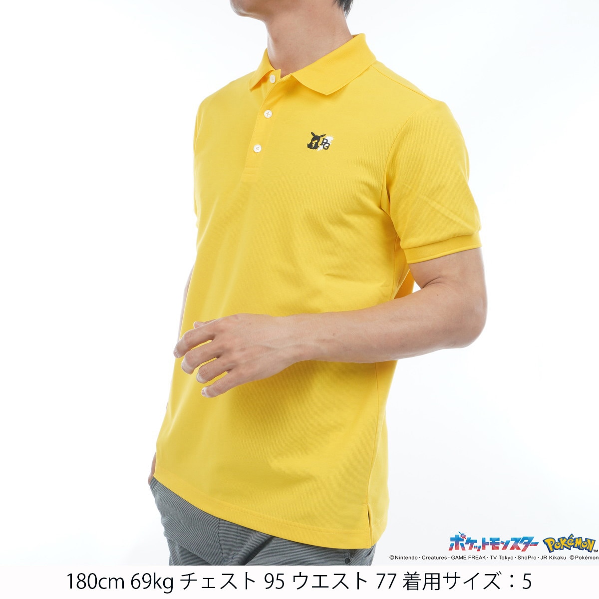 ポケモン ボーダー調鹿の子 半袖ポロシャツ(半袖シャツ