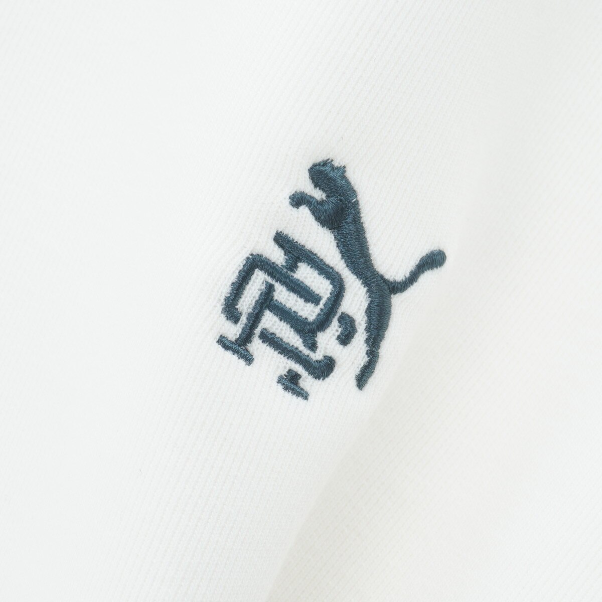 PUMA×RC CLOUDSPUN ストレッチフリースミドラー(中間着(セーター