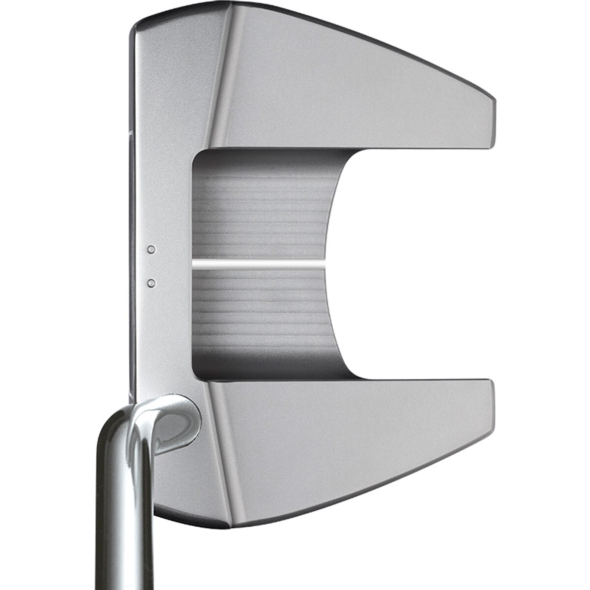 ネオスタンダード ER5 ハッチバック マレット パター レフティ(パター