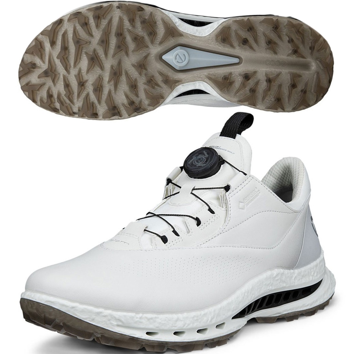 BIOM C5 BOA シューズ(【男性】シューズ)|エコー(ecco) EG132614の通販