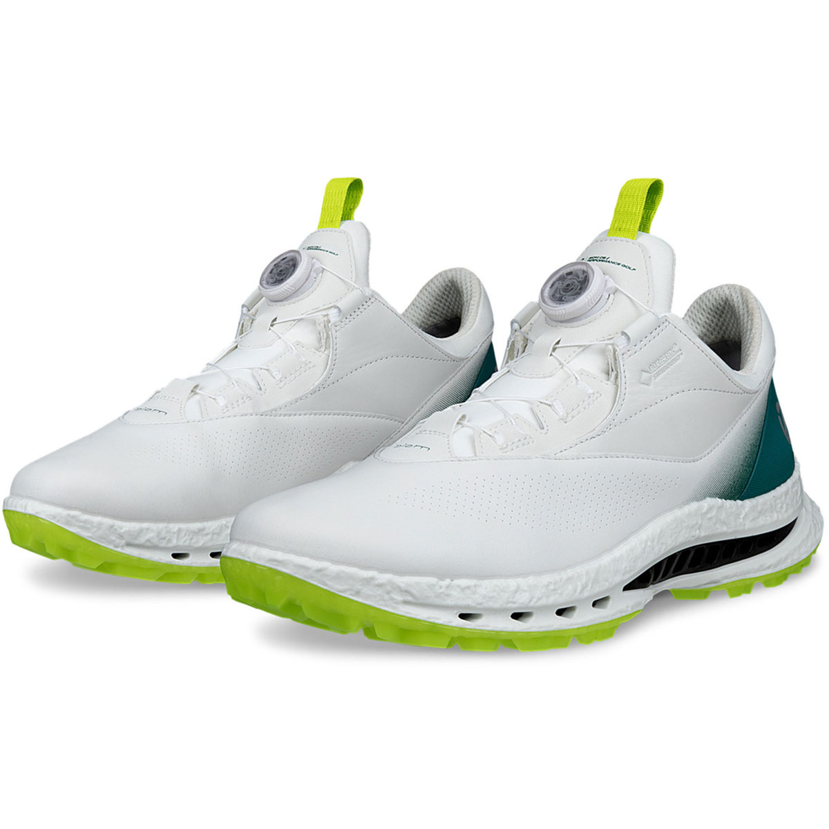 BIOM C5 BOA シューズ(【男性】シューズ)|エコー(ecco) EG132614の通販