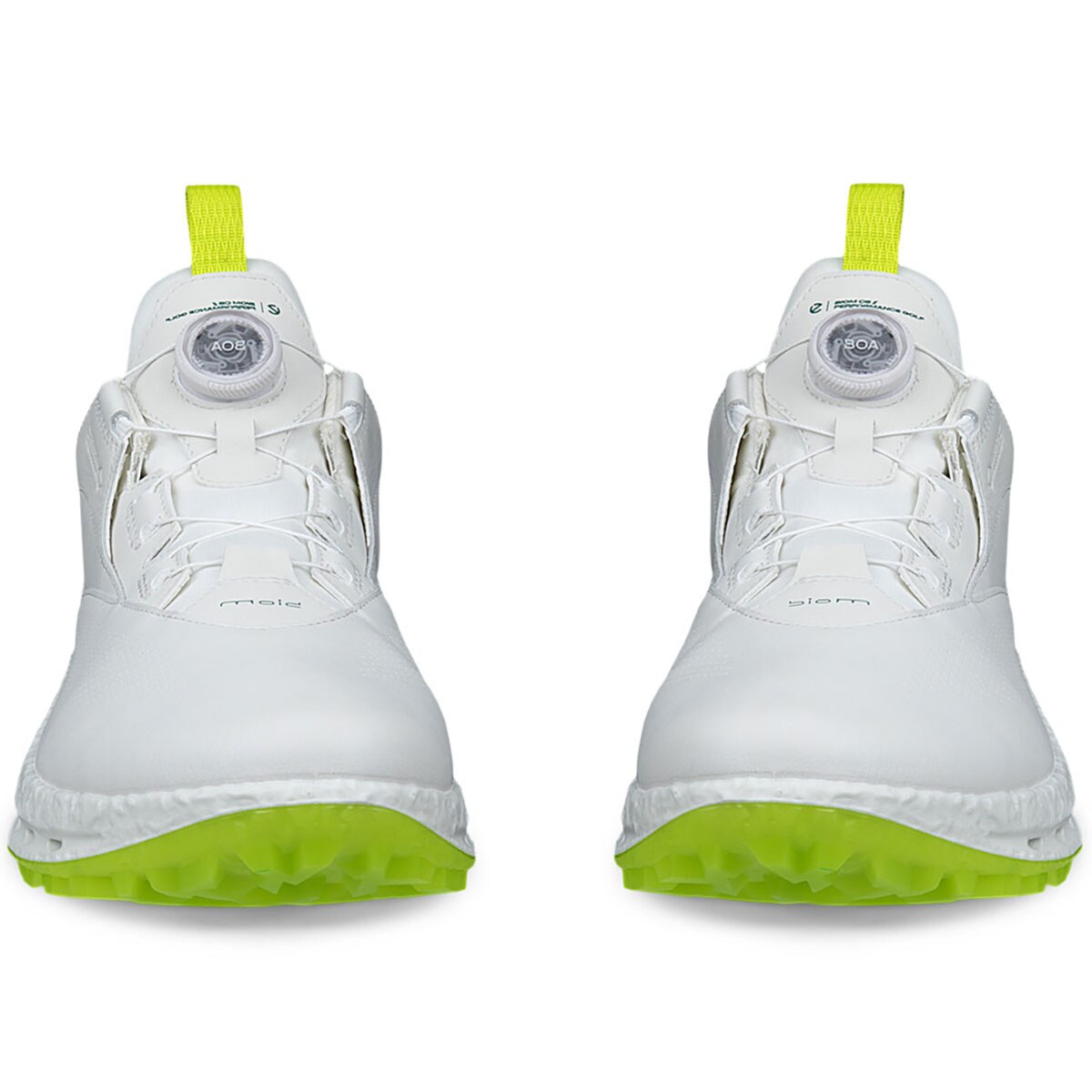 BIOM C5 BOA シューズ(【男性】シューズ)|エコー(ecco) EG132614の通販