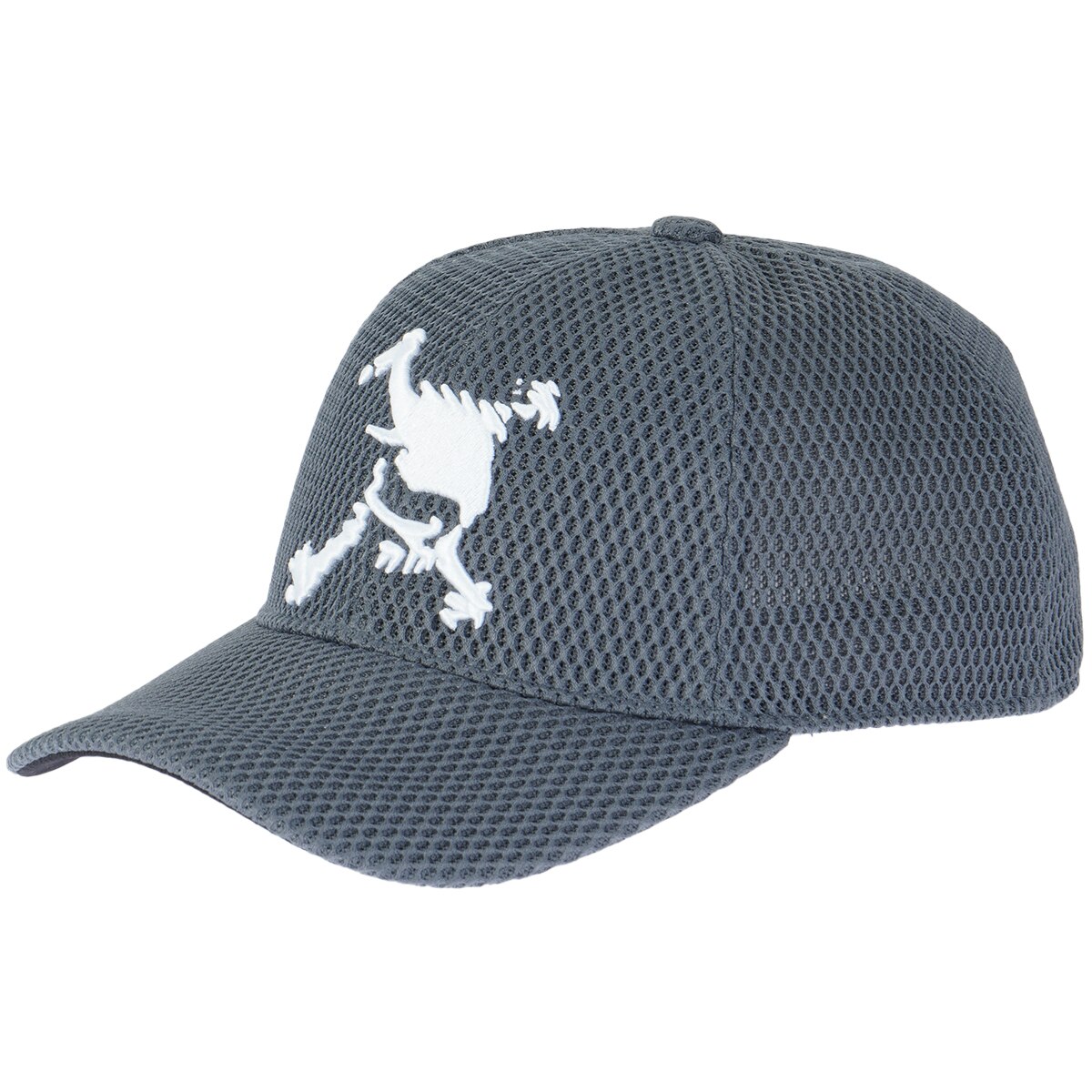 スカル 26.0 メッシュキャップ(【男性】キャップ)|Skull(オークリー
