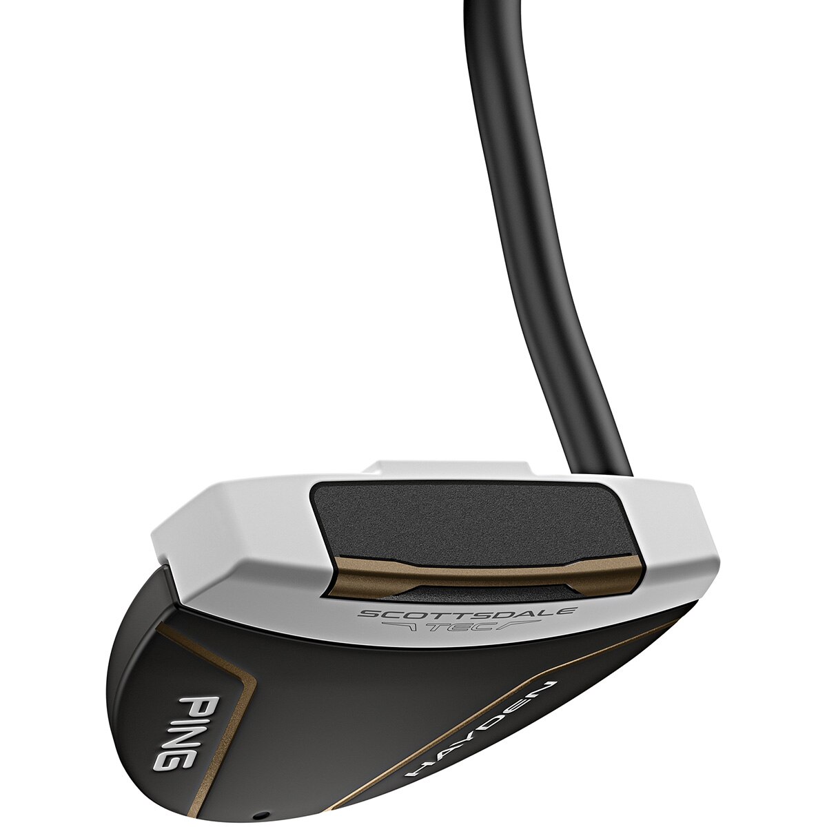 スコッツデール TEC ヘイデン パター(グリップ：PING SUPER STROKE