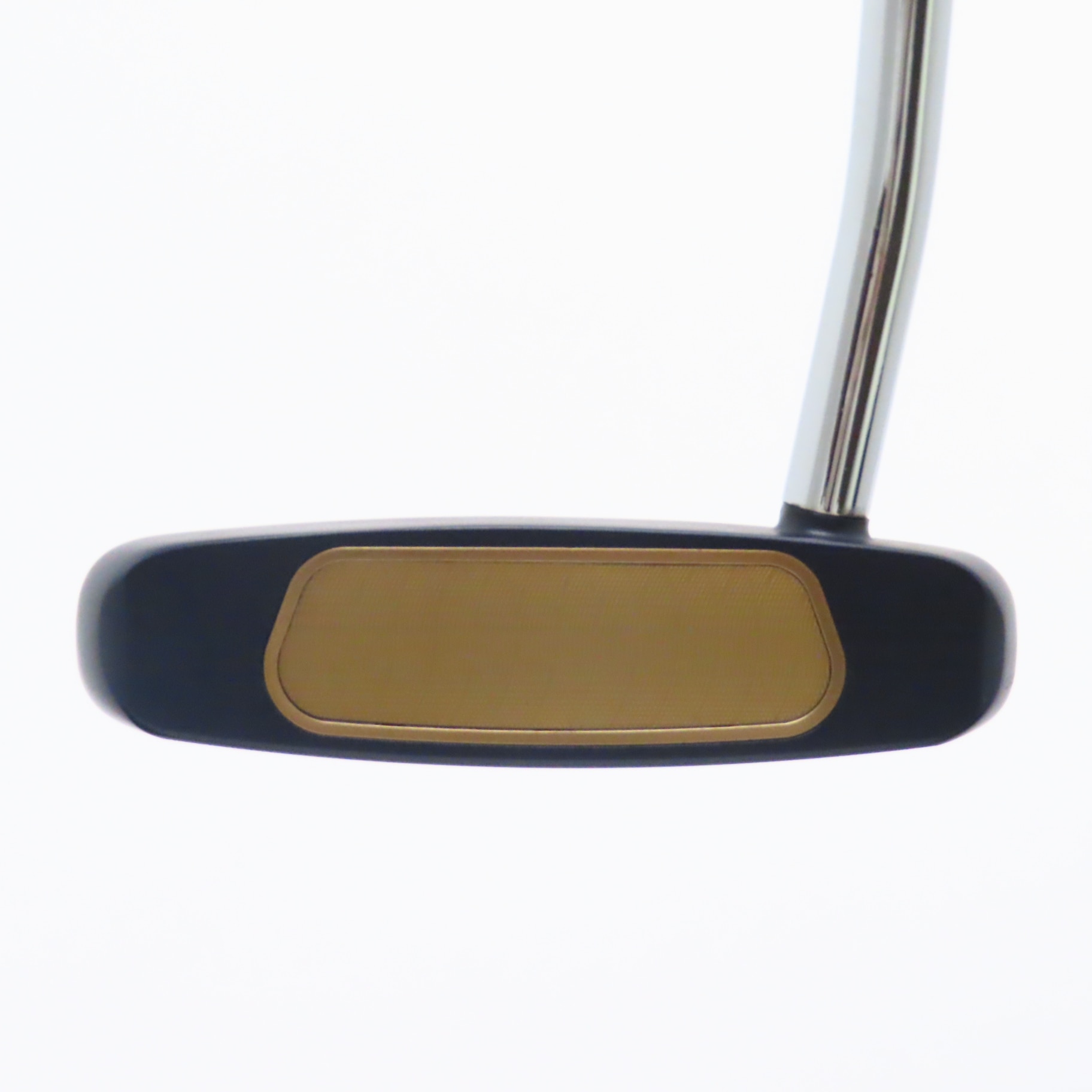 中古】Ai-ONE MILLED ROSSIE-V T DB パター スチールシャフト 計測項目