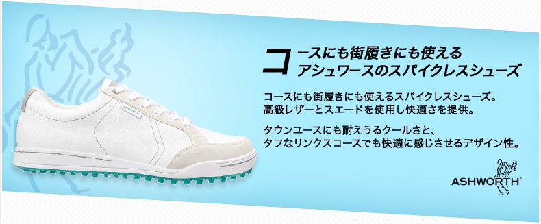 Ashworthゴルフシューズ25cm & TaylorMade シューズケース Ashworthゴルフシューズ25cm & TaylorMade シューズケース（今