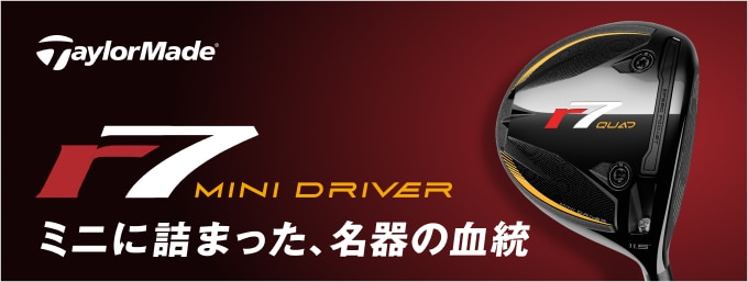 DUNLOP ゴルフクラブセットとDisneyゴルフバッグとボール付き DUNLOP ゴルフクラブセットとDisneyゴルフバッグとボール付き