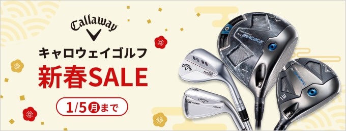 b454★初心者歓迎★タイトリスト等メンズゴルフクラブ１４本セット※Dr２本入り b454☆初心者歓迎☆タイトリスト等メンズゴルフクラブ14本セット