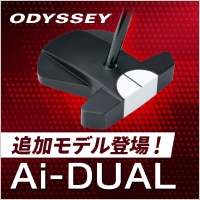 （モデル追加）オデッセイのAi-DUALパター登場