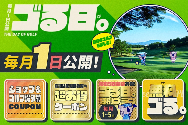 新品・中古ゴルフ用品 ゴルフクラブ通販｜GDOゴルフショップ