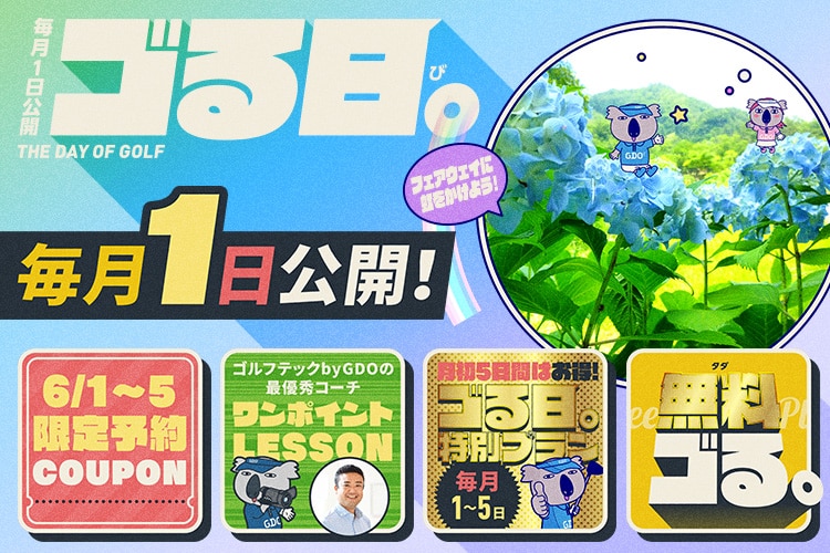 新品・中古ゴルフ用品 ゴルフクラブ通販｜GDOゴルフショップ