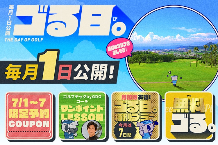 新品・中古ゴルフ用品 ゴルフクラブ通販｜GDOゴルフショップ